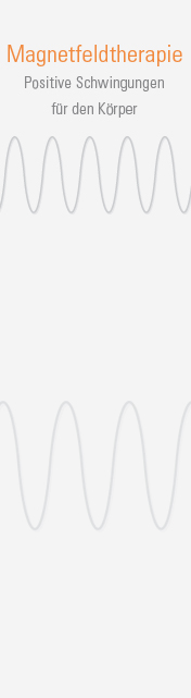 magnetfeld.jpg